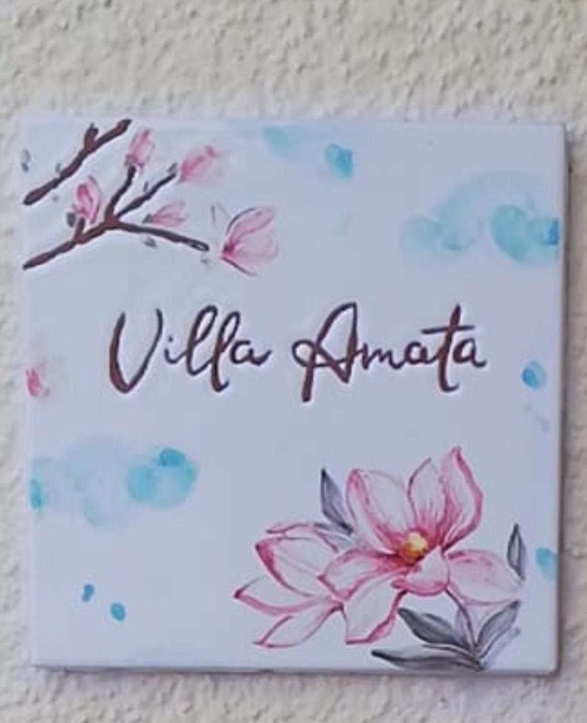 Amata Villa Vacanza 莱乌卡 外观 照片